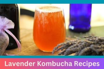 Lavender Kombucha Recipes